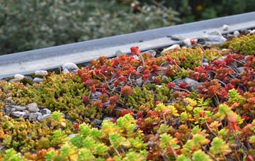 the cost of Oad Street green roof installation