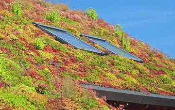 Oad Street living roof systems